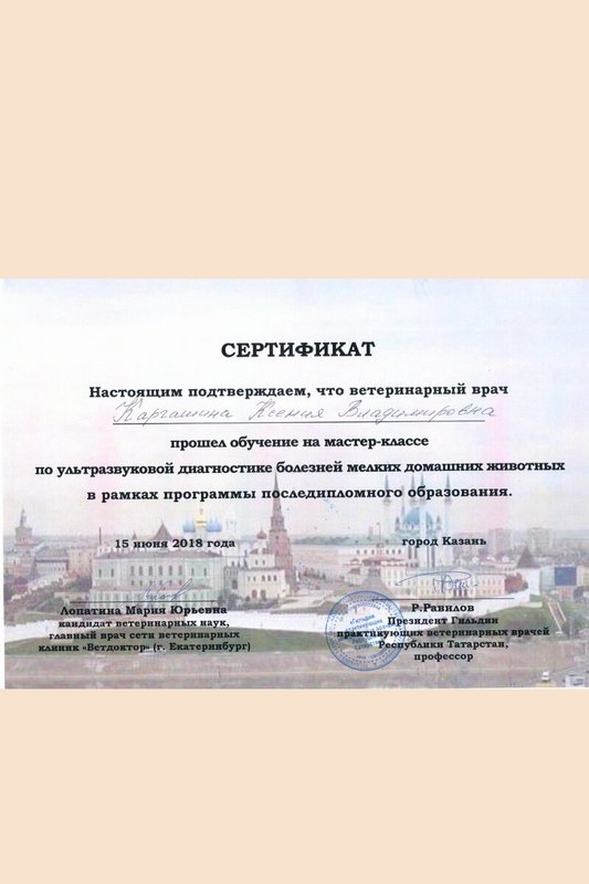 Документ или сертификат
