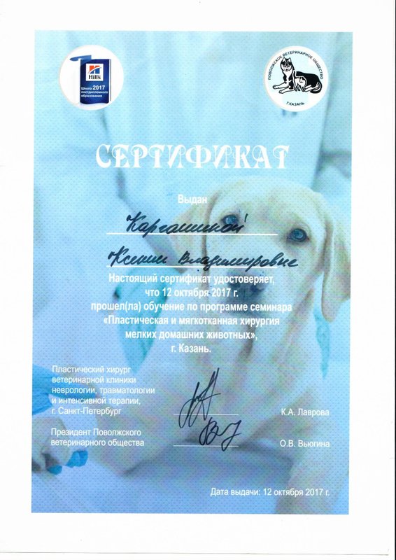 Документ или сертификат