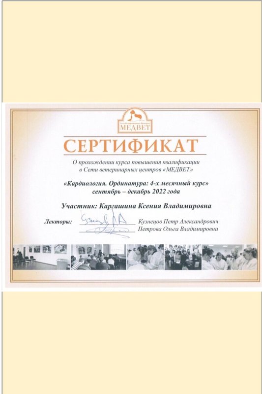 Документ или сертификат