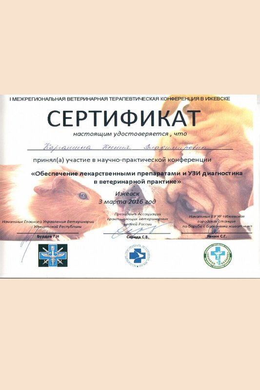 Документ или сертификат