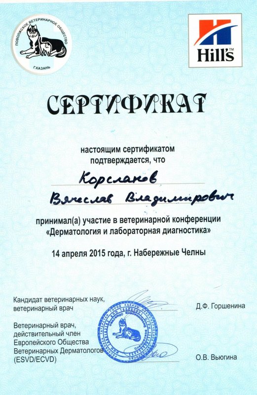 Документ или сертификат