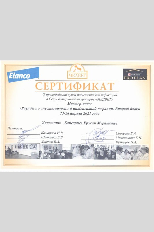 Документ или сертификат
