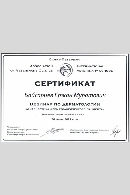 Документ или сертификат