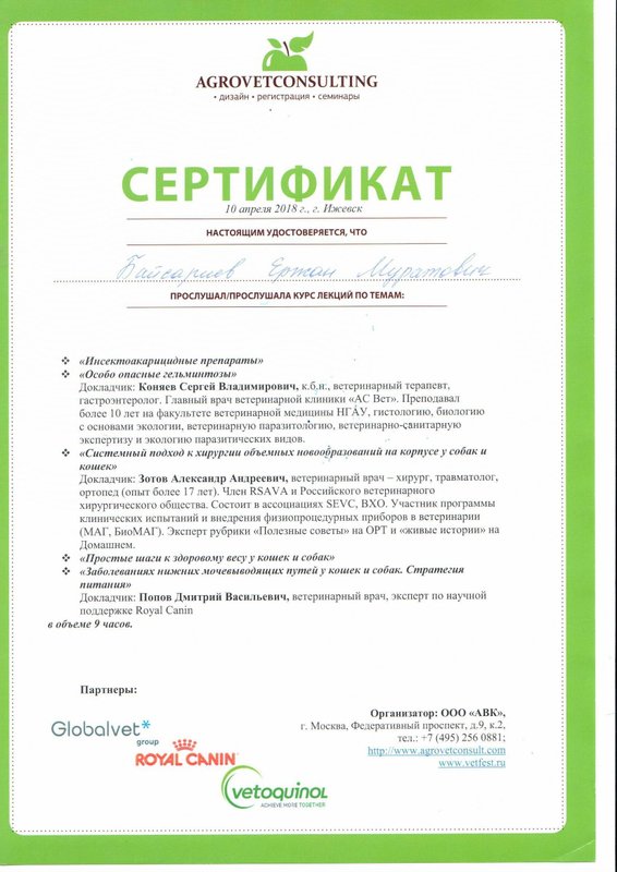 Документ или сертификат