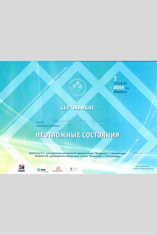 Документ или сертификат