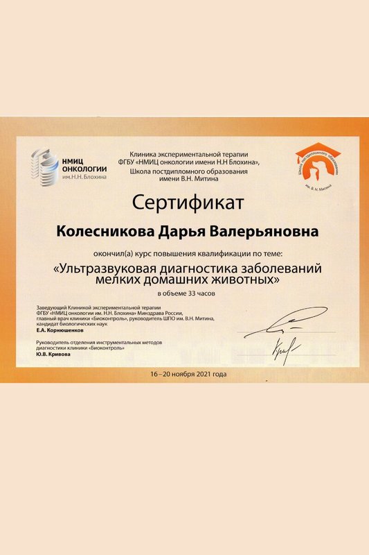 Документ или сертификат