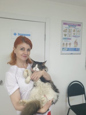 Фото врача Швигель Елена Львовна
