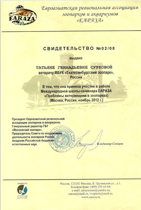 Документ или сертификат