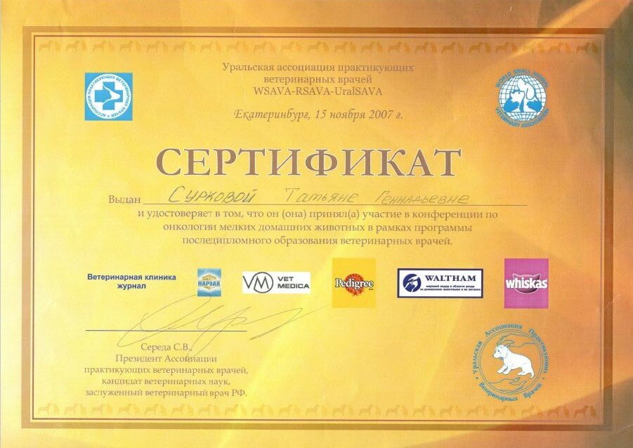 Документ или сертификат