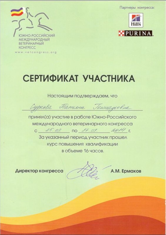 Документ или сертификат