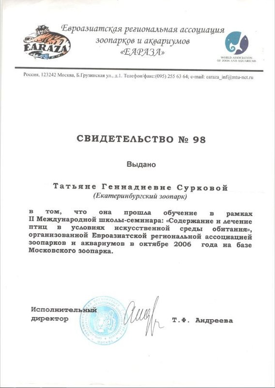 Документ или сертификат