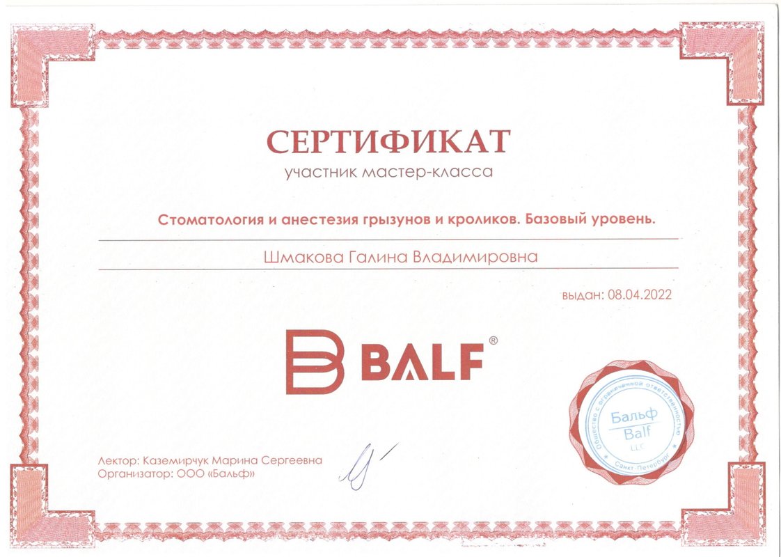 Документ или сертификат