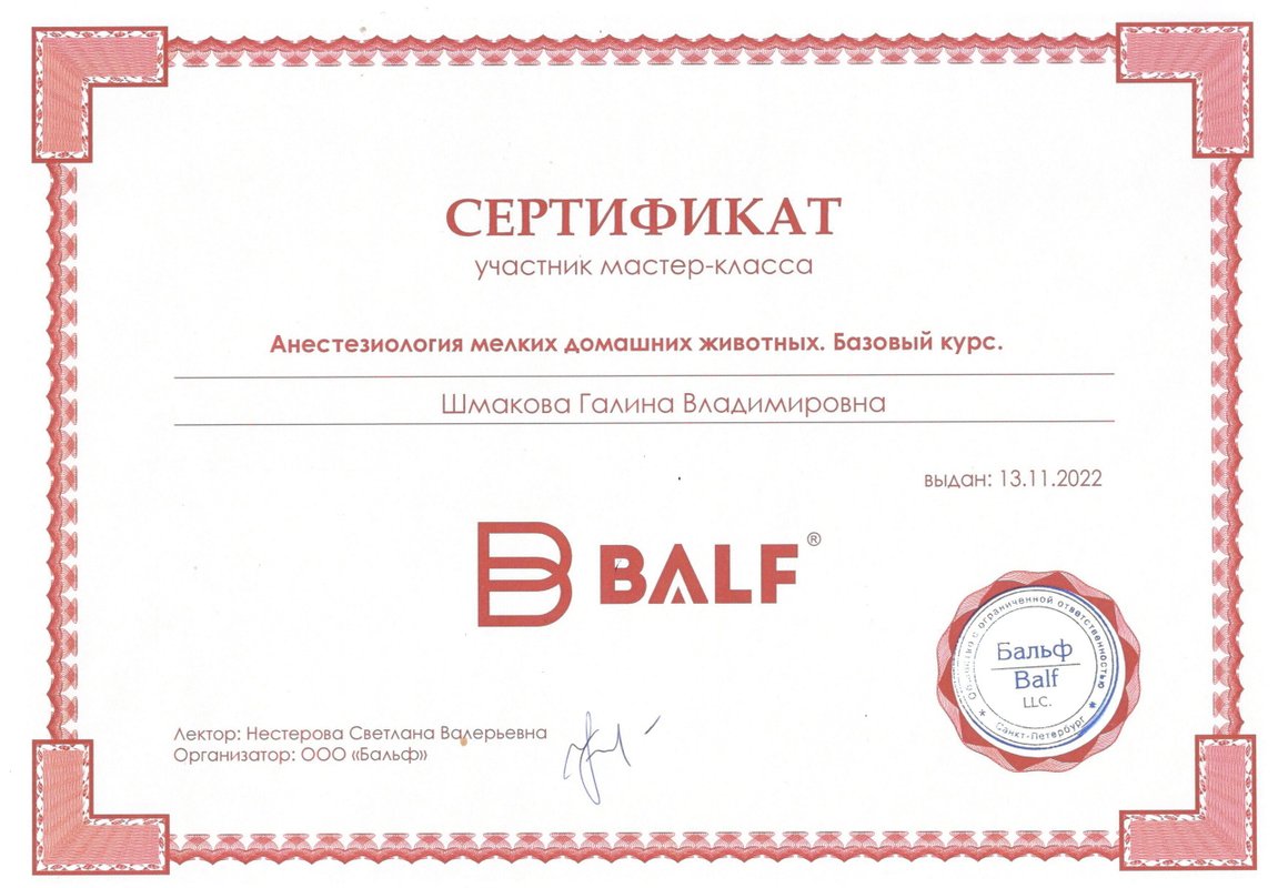 Документ или сертификат