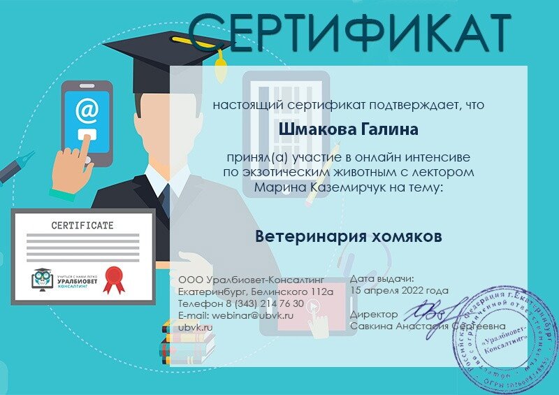 Документ или сертификат