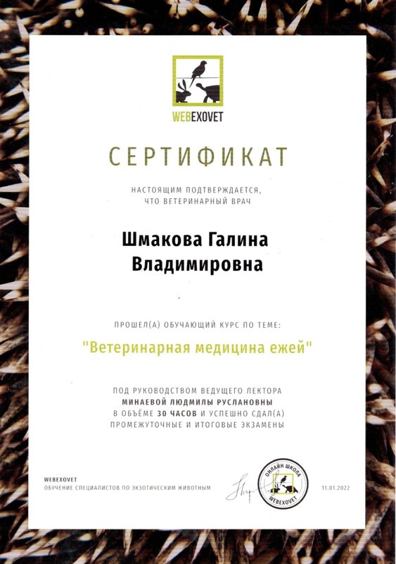 Документ или сертификат