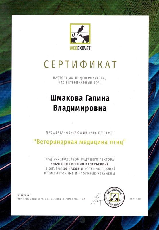 Документ или сертификат