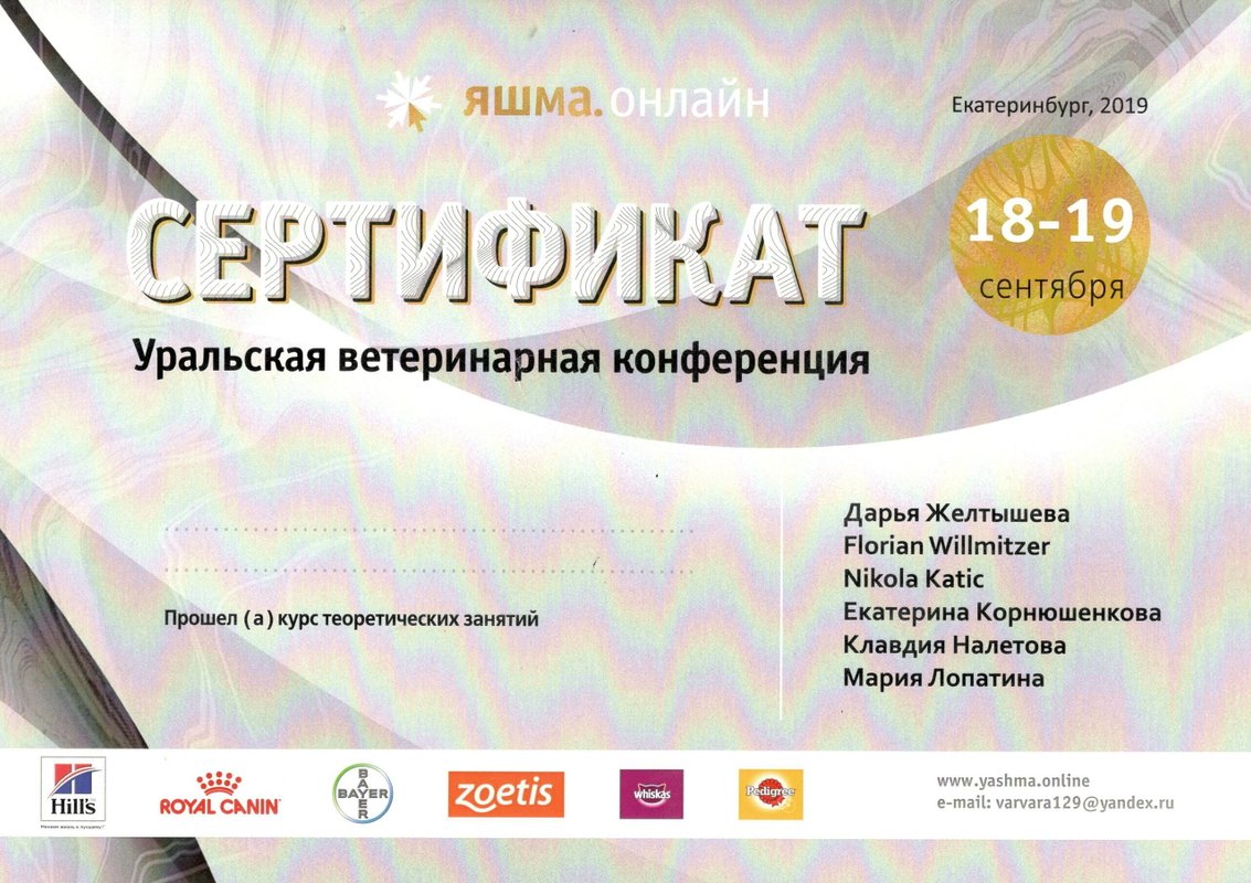 Документ или сертификат