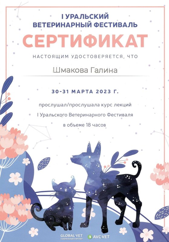 Документ или сертификат