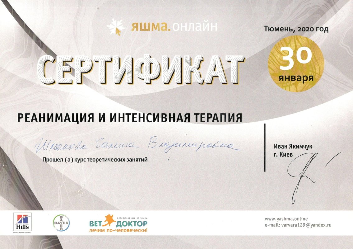 Документ или сертификат