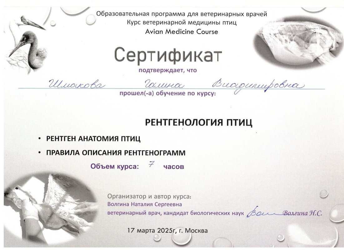 Документ или сертификат