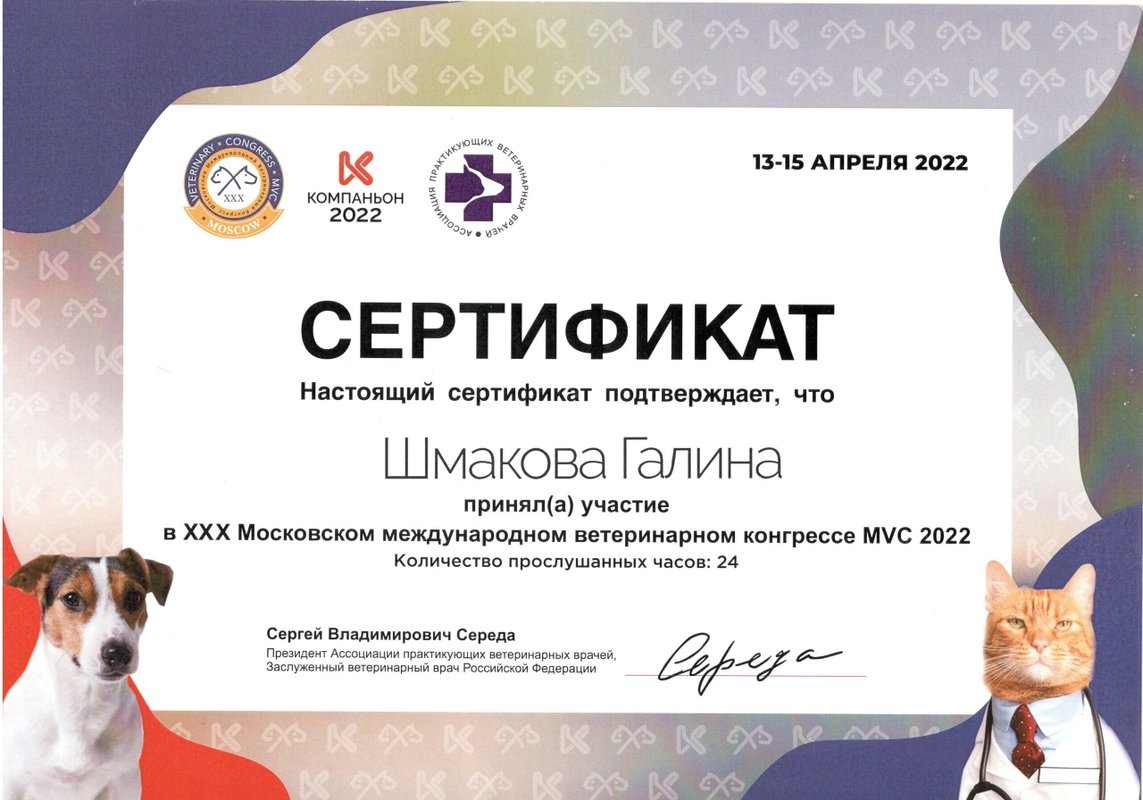 Документ или сертификат