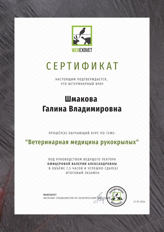 Документ или сертификат