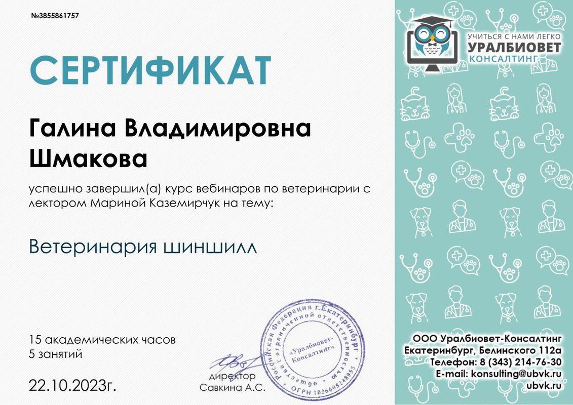 Документ или сертификат