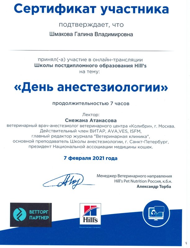 Документ или сертификат