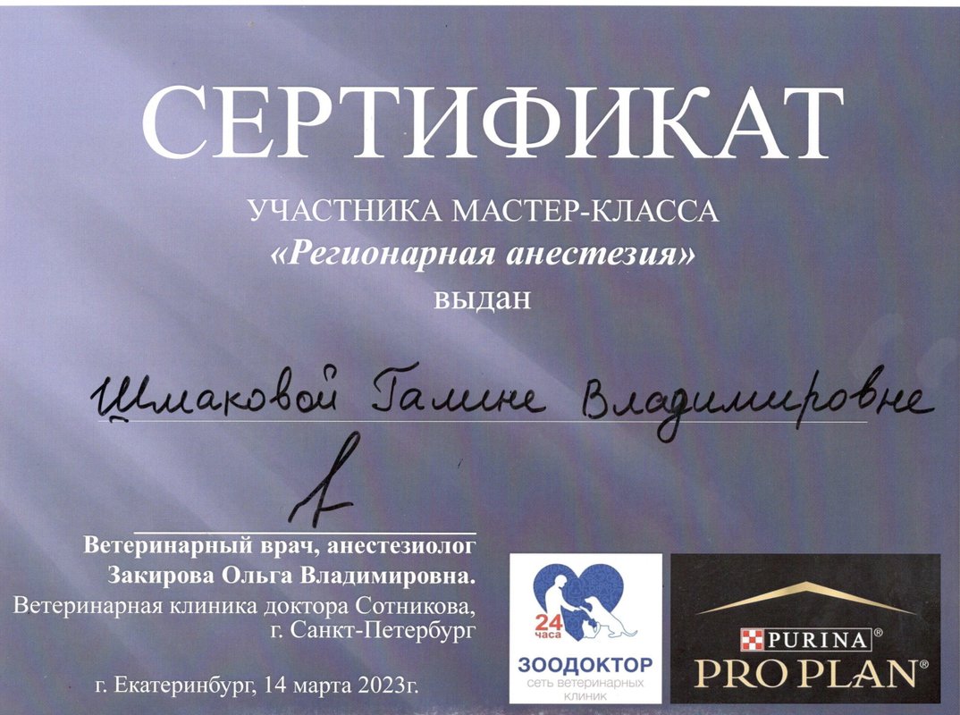 Документ или сертификат