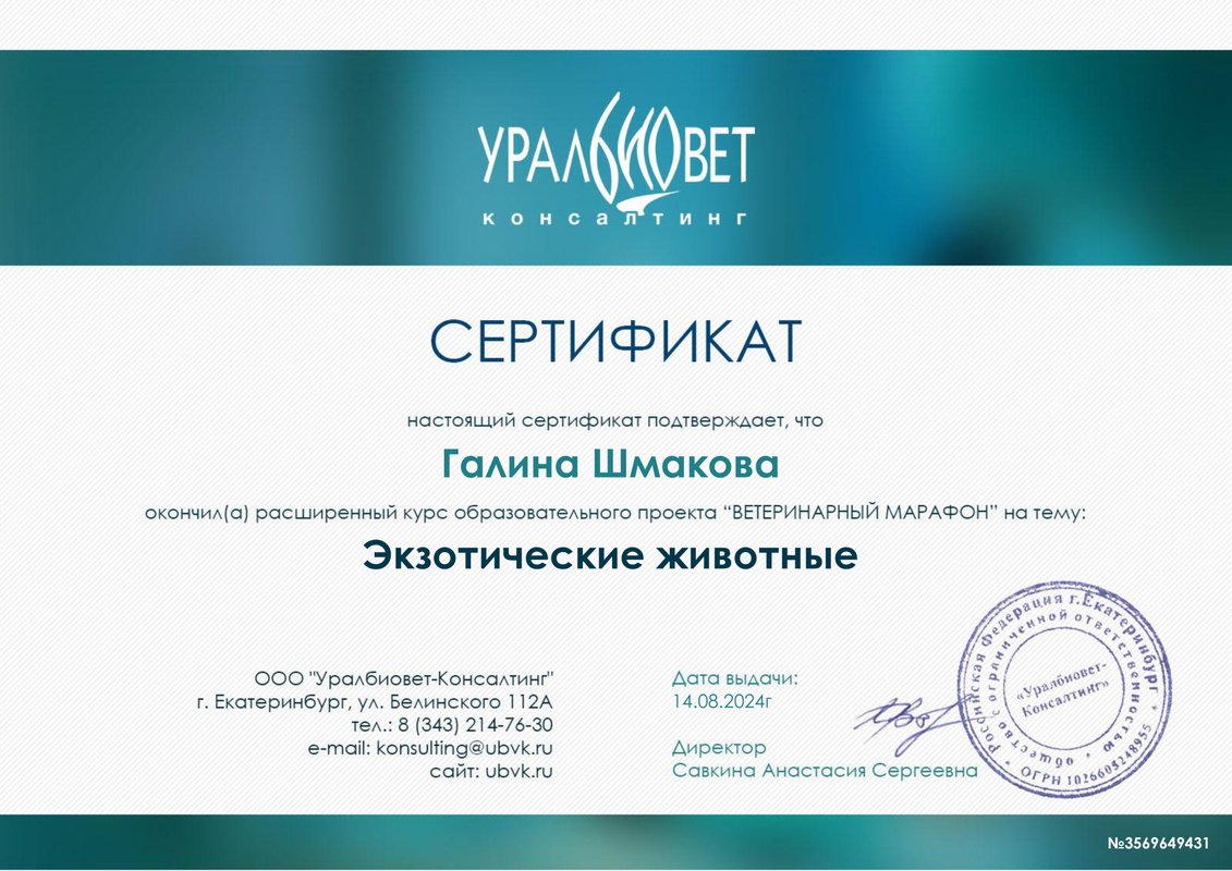 Документ или сертификат