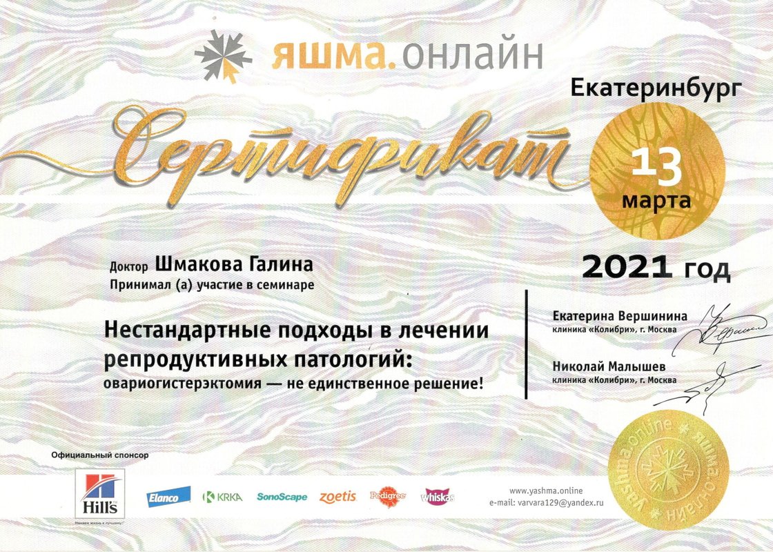 Документ или сертификат