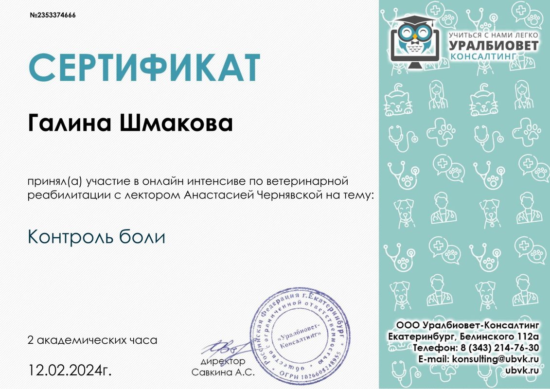 Документ или сертификат