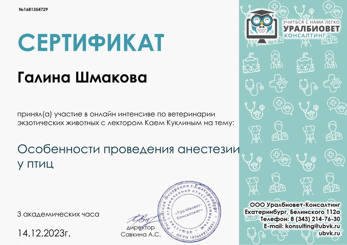 Документ или сертификат