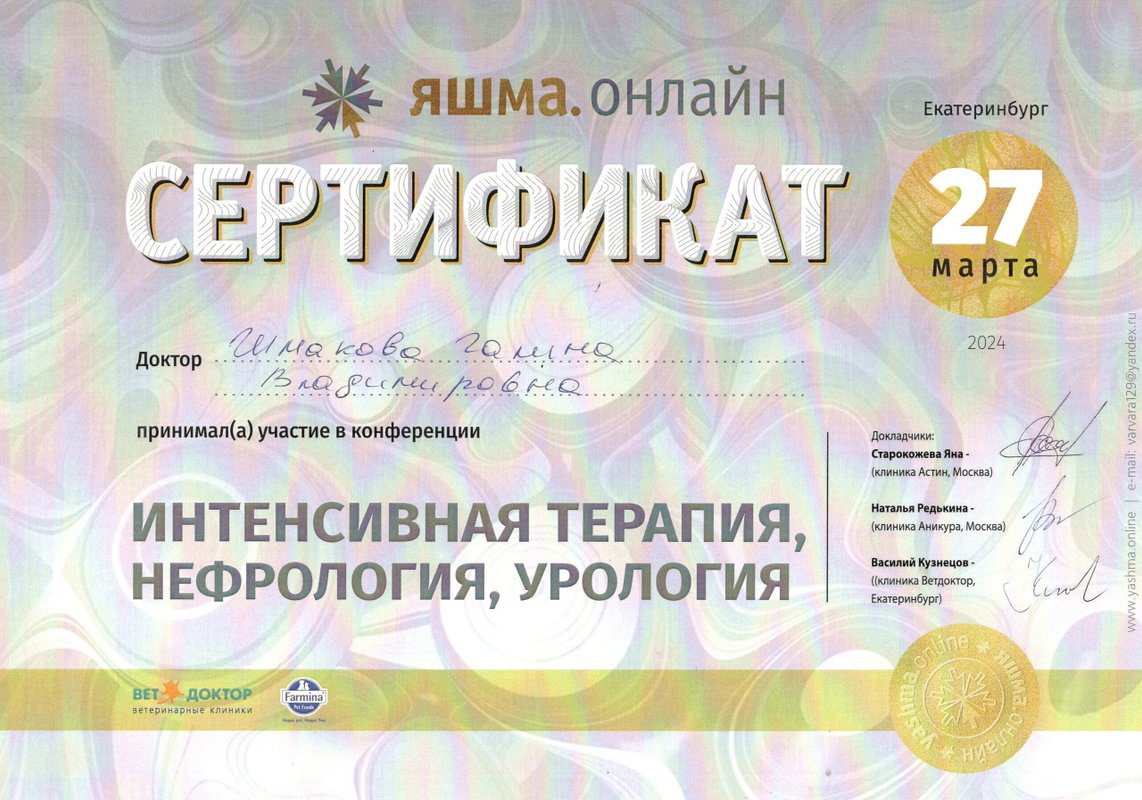 Документ или сертификат