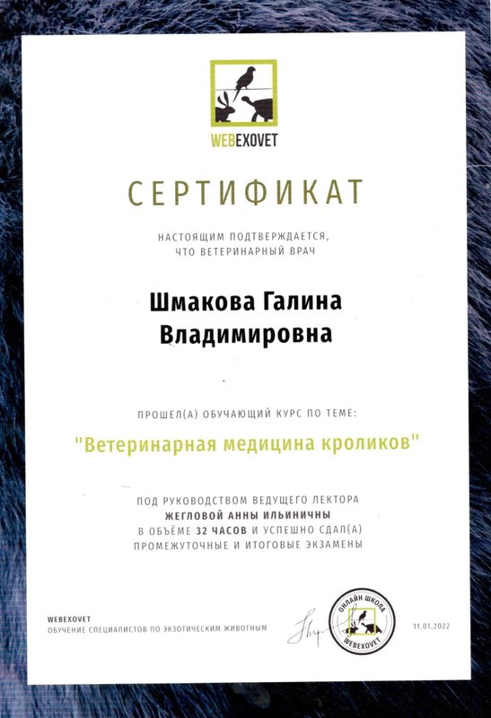 Документ или сертификат
