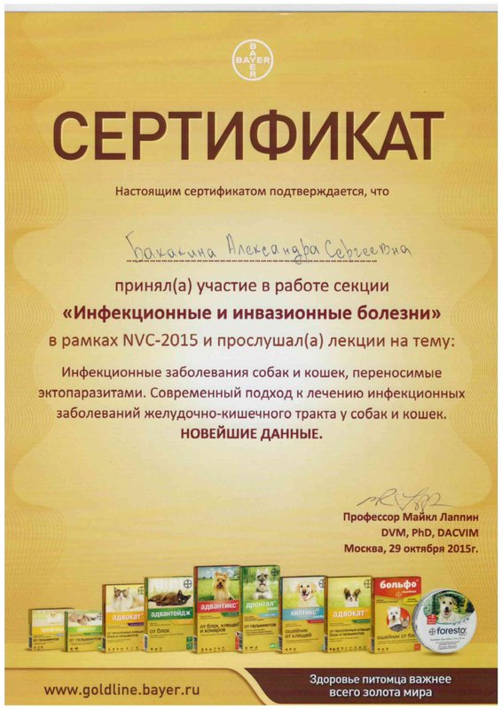 Документ или сертификат