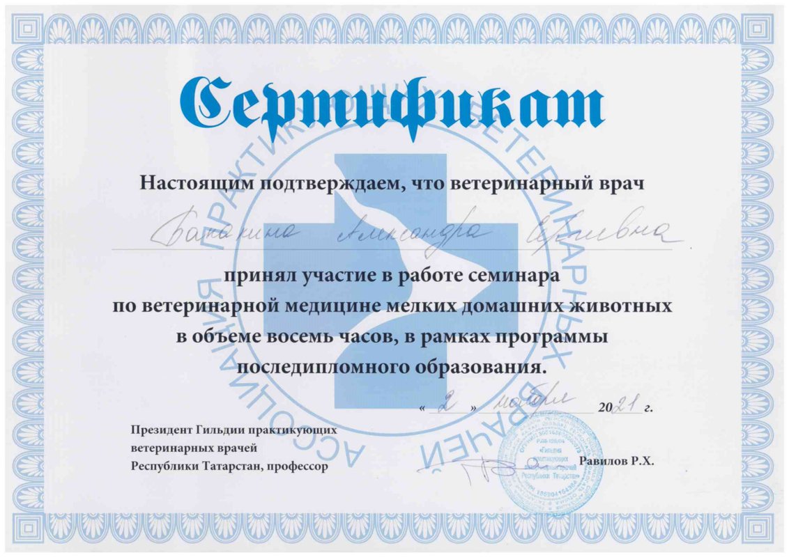 Документ или сертификат