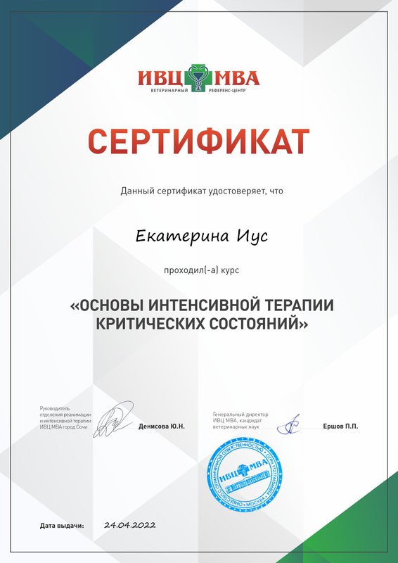 Документ или сертификат