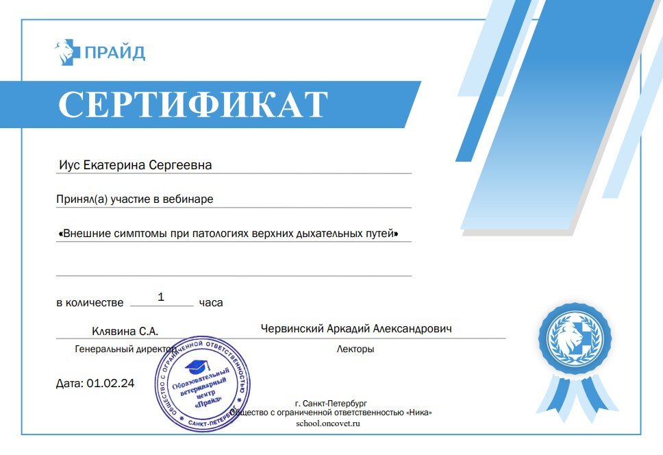 Документ или сертификат