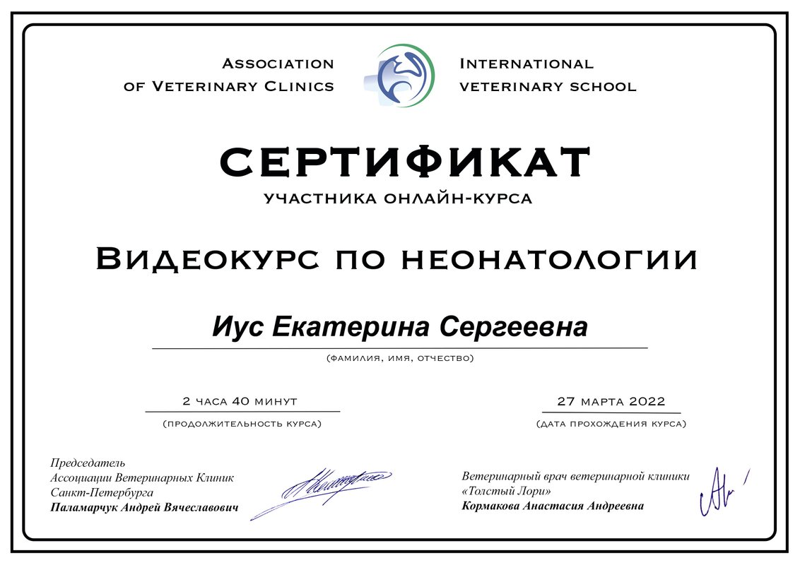 Документ или сертификат