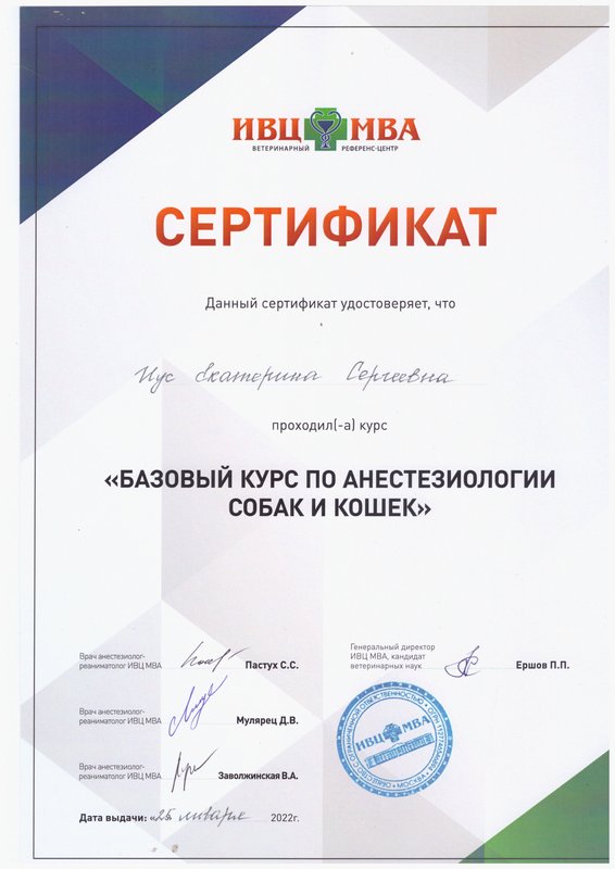Документ или сертификат