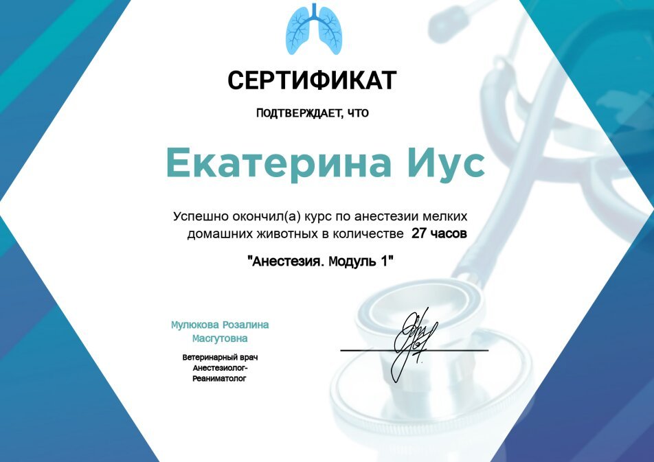 Документ или сертификат