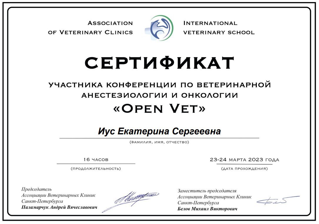 Документ или сертификат