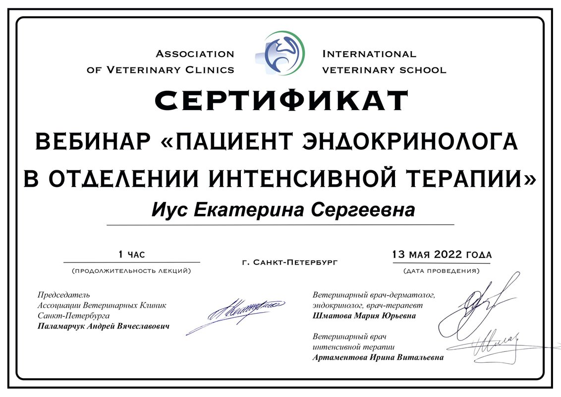 Документ или сертификат