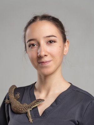 Фото врача Савченко Анастасия Витальевна