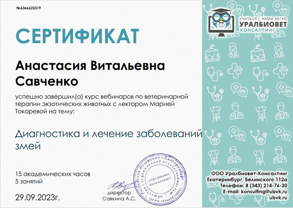 Документ или сертификат