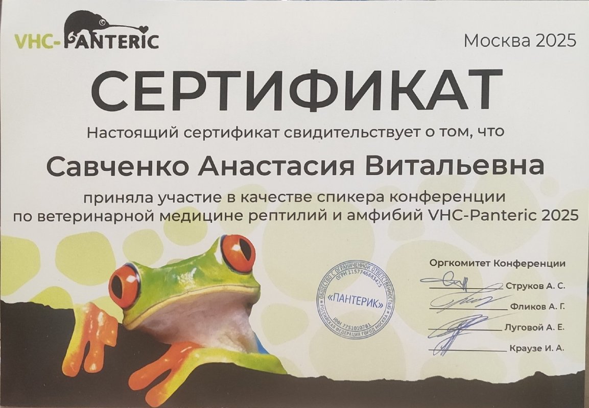 Документ или сертификат