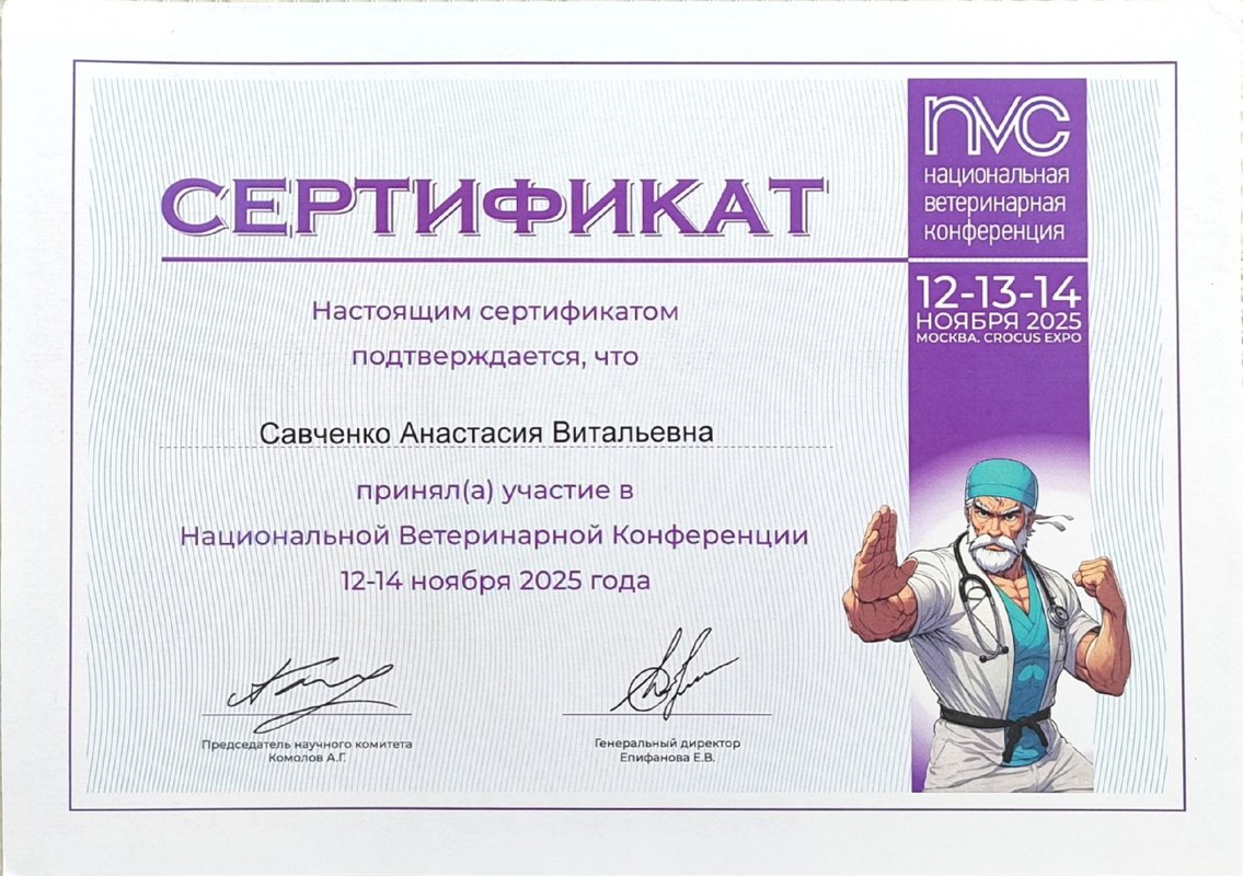 Документ или сертификат