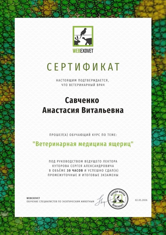 Документ или сертификат