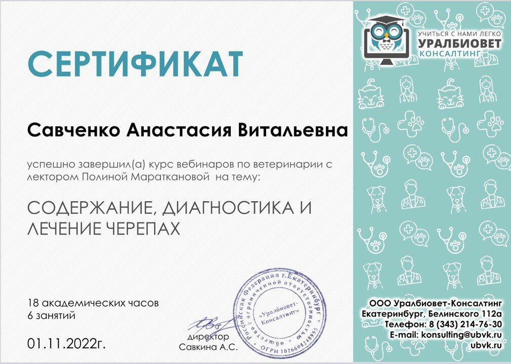 Документ или сертификат
